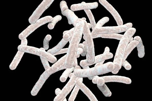 Bacteria Mycobacterium tuberculosis — Stock Photo, Image