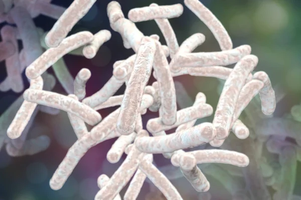 Bacteria Mycobacterium tuberculosis — Stock Photo, Image