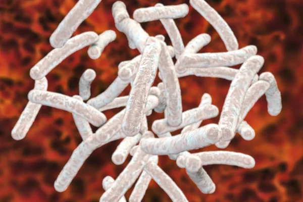 Bakterierna Mycobacterium tuberculosis — Stockfoto