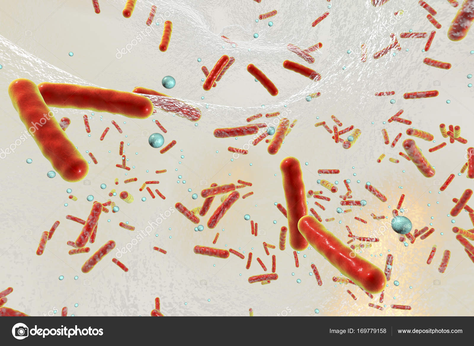 Multidrug resistant bacteria inside a biofilm — Stock Photo