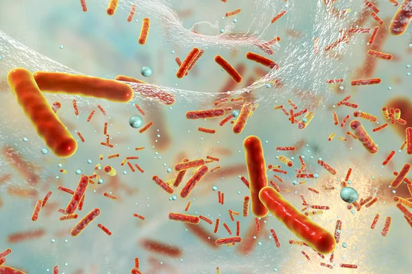 Multiläkemedels resistenta bakterier inuti en biofilm — Stockfoto