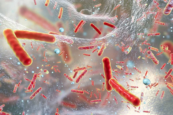 Багатопрофільні бактерії всередині біоплівки Стокове Фото