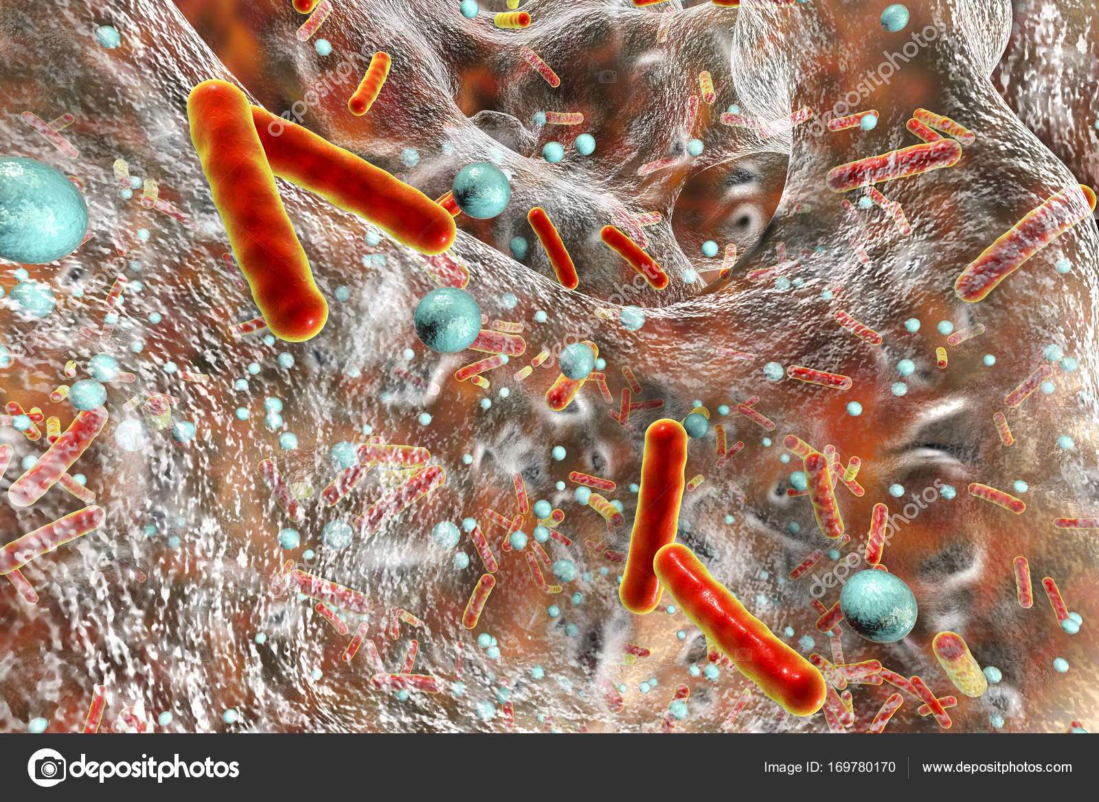 бифидобактерии стафилококк. бифидобактерии стафилококк. бифидобактерии и энтерококки. бифидобактерии bifidum. Lactobacillus plantarum микробиология.