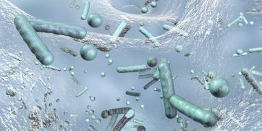 Bir biyofilm içinde antibiyotik dirençli bakteri