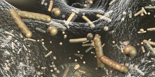 Antibiotikaresistenta bakterier inuti en biofilm — Stockfoto