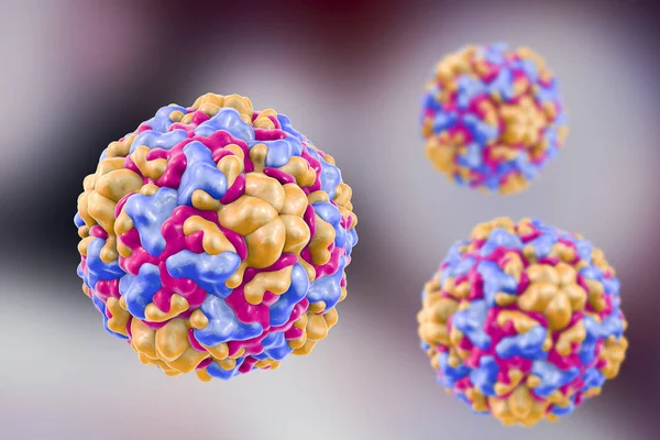 Rhinoviruses, virus orsakar förkylning och snuva — Stockfoto