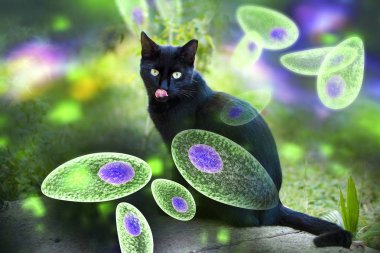 Toxoplasma gondii farkındalık kavramsal görüntü