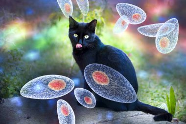 Toxoplasma gondii farkındalık kavramsal görüntü