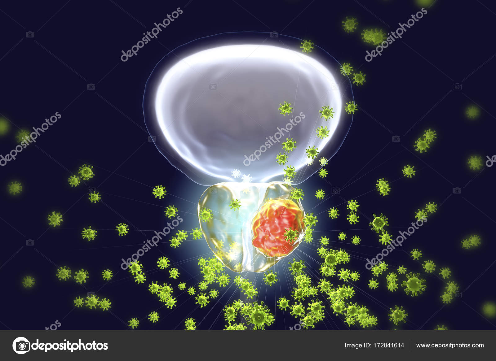 virus prostata