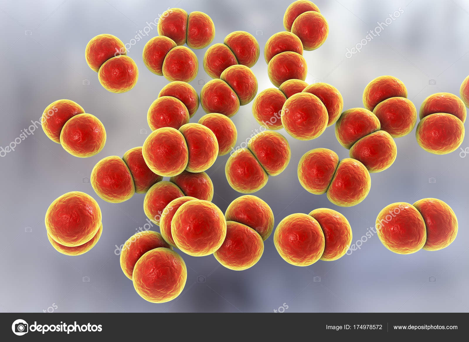 La gonorrea que provoca bacteria