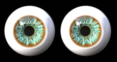 Gerçekçi insan gözü