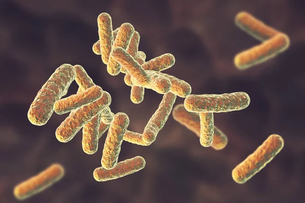 Bacterias patógenas humanas — Foto de Stock