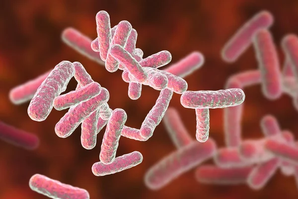 Bacterias patógenas humanas — Foto de Stock