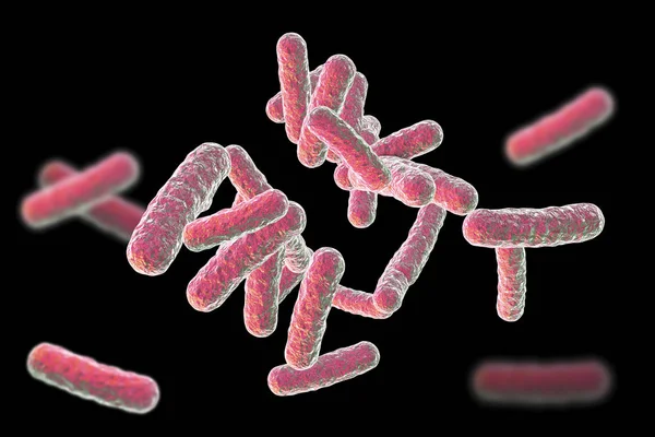 Bactérias patogénicas humanas — Fotografia de Stock