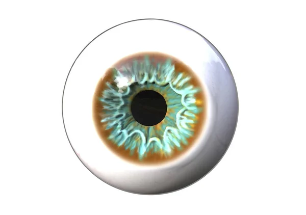 Realistic human eye — Stock Photo, Image