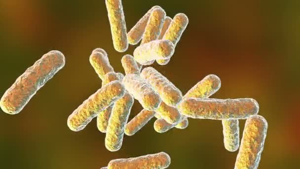 Bacterias patógenas humanas — Vídeo de stock