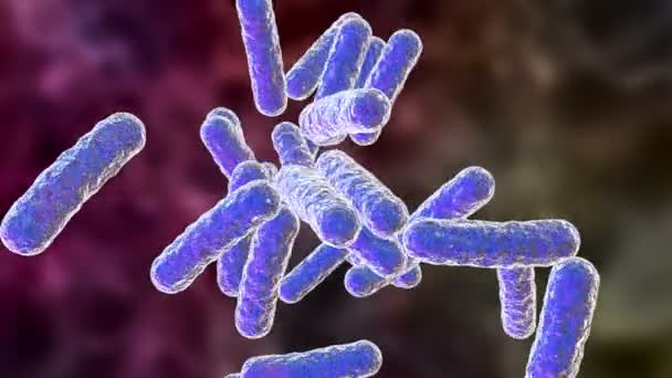 Bactérias patogénicas humanas — Vídeo de Stock
