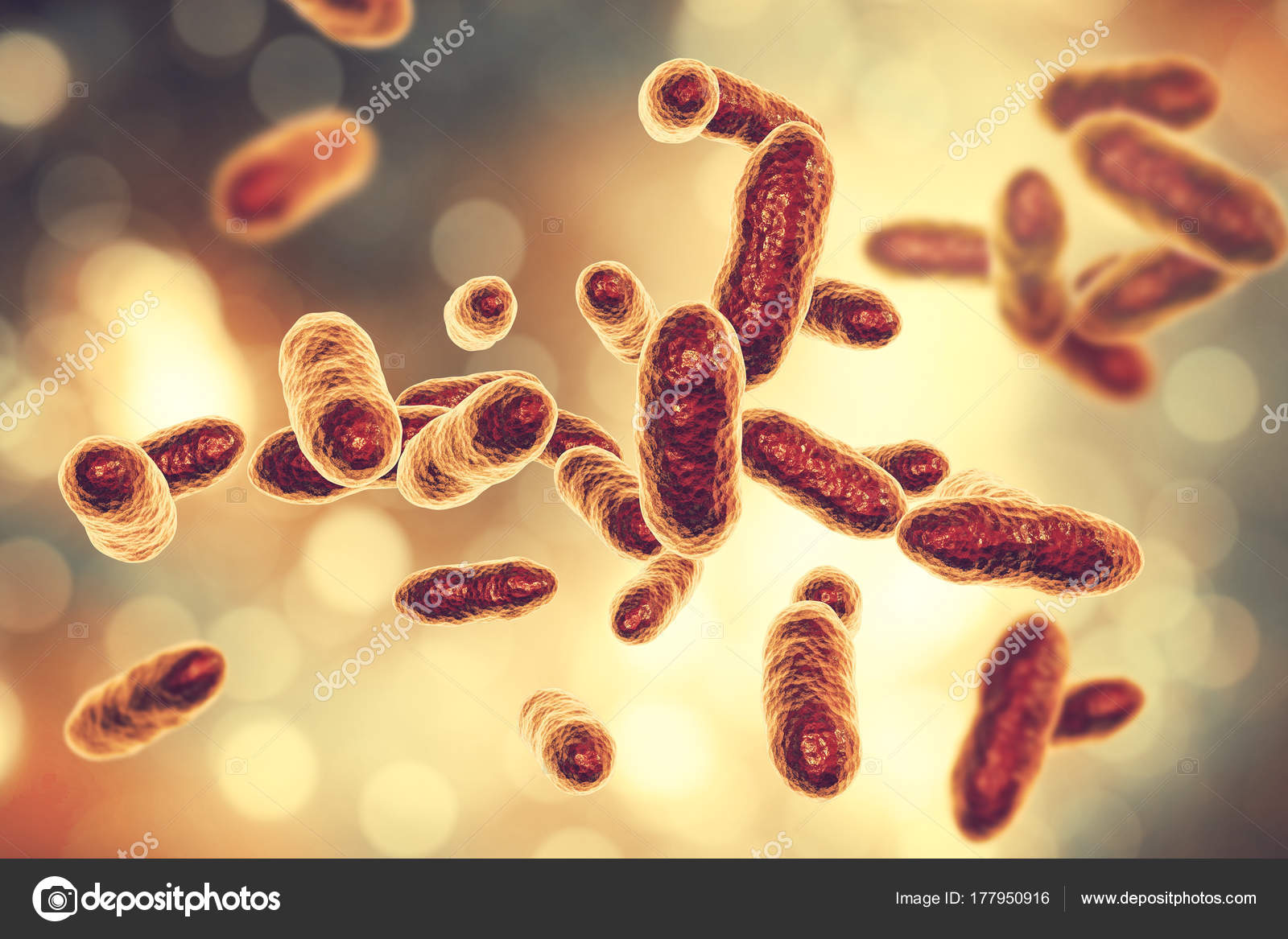TANNERELLA FORSYTHIA PDF DOWNLOAD TANNERELLA FORSYTHIA PDF DOWNLOAD