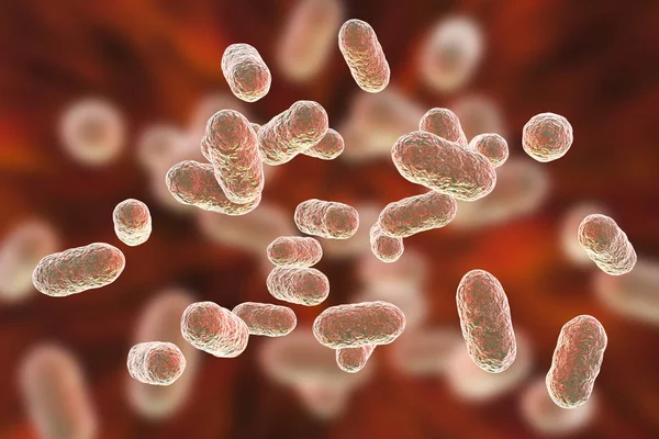 Porphyromonas gingivalis bakterier — Stockfoto