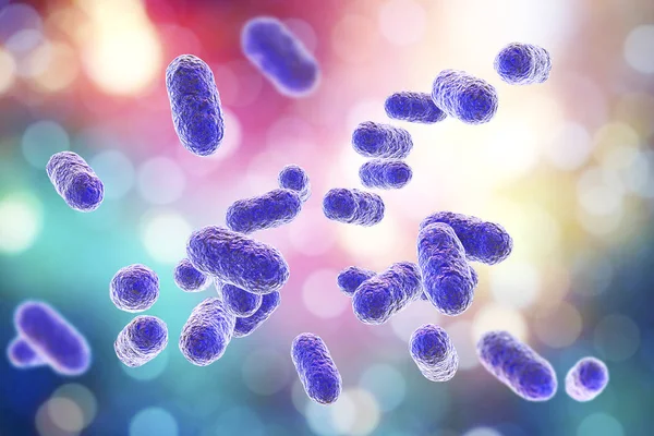 Porphyromonas gingivalis bakterier — Stockfoto