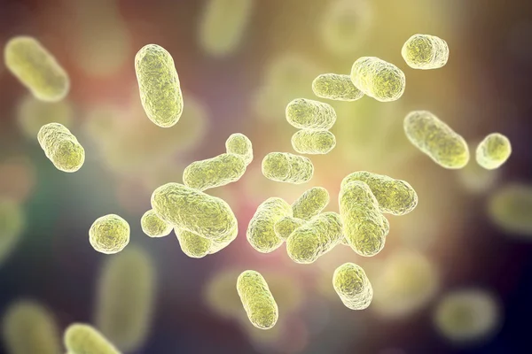 Porphyromonas gingivalis bacteria — Stock Photo, Image