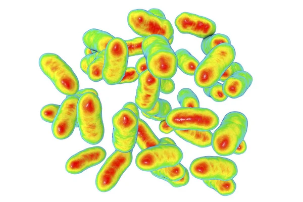Prevotella copri bakterier illustration — Stockfoto