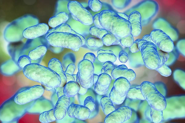 Prevotella bacteria illustration — Stock Photo, Image