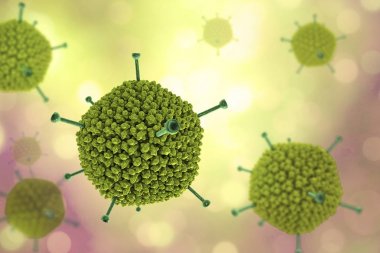 Adenovirus moleküler model