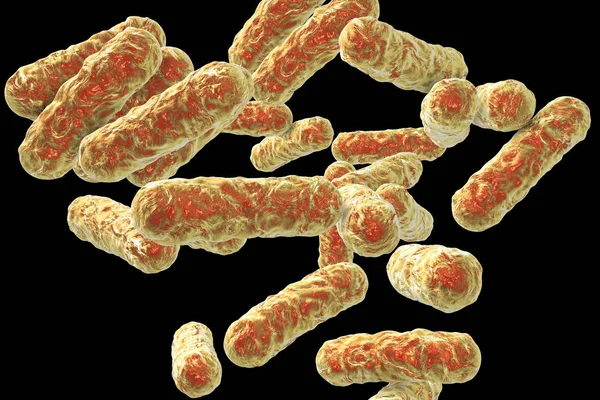 Bartonella henselae bacteriën, de verwekker van de ziekte van de kat-kras — Stockfoto