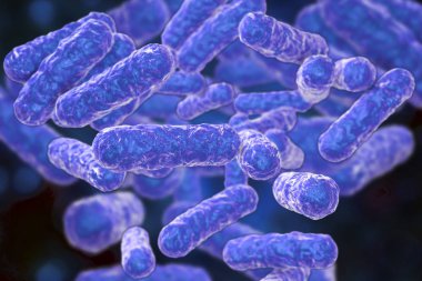 Bartonella henselae bakteri, kedi Tirmigi Hastaligi hastalığının