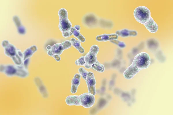 Clostridium difficile bakteri — Stok fotoğraf