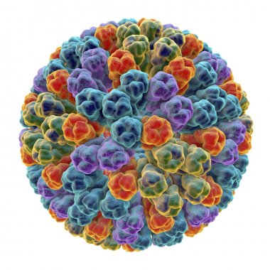 Çocuklarda ishal enfeksiyon neden bir Rotavirüs moleküler model