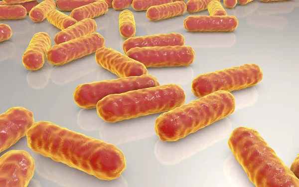 Bakterie escherichia coli — Stock fotografie
