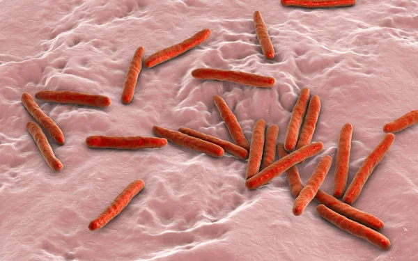 Bakterie Mycobacterium tuberculosis — Stock fotografie