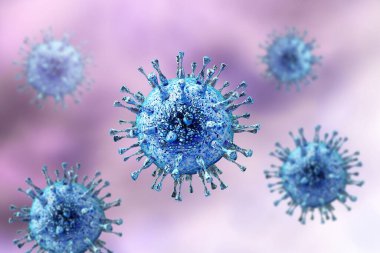 Sitomegalovirüs CMV, Herpesviridae familyasından bir DNA virüsü, 3 boyutlu illüstrasyon. CMV çoğunlukla yeni doğanlarda ve bağışıklık sistemi çökmüş hastalarda hastalıklara neden olur.