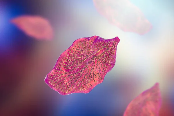 papiloma na mama e benigno hpv related oropharyngeal cancer