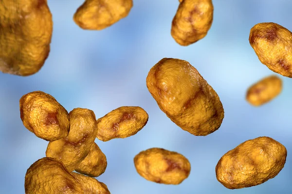 Haemophilus influenzae bakterisi, 3 boyutlu illüstrasyon. Çoğunlukla çocuklarda, zatürree, otit, menenjit ve diğer çocuklarda enfeksiyona neden olan gram-negatif kokobacilli.