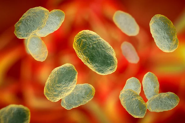 Haemophilus Influenzae Bacteria Illustration Gram Negative Coccobacilli Which Cause Infections — Stock Photo, Image
