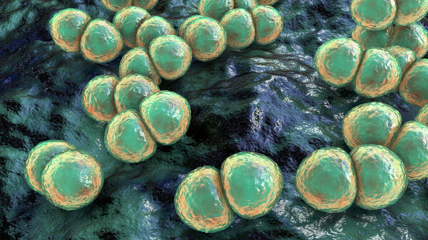 Bacteria Streptococcus pneumoniae, 3D illustration. Gram-positive diplococci, the causative agent of pneumonia