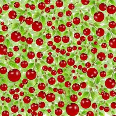 el ilanı kiraz ile arka plan. Vektör çizim olduğunu