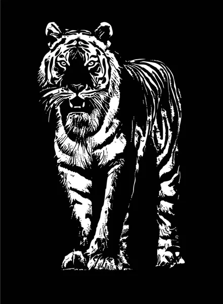 Dibujo de tigre boceto — Vector de stock