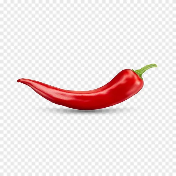 Red hot natural chili pepper pod realistic image with shadow for culinary products and recipes vector illustration — Stock Vector