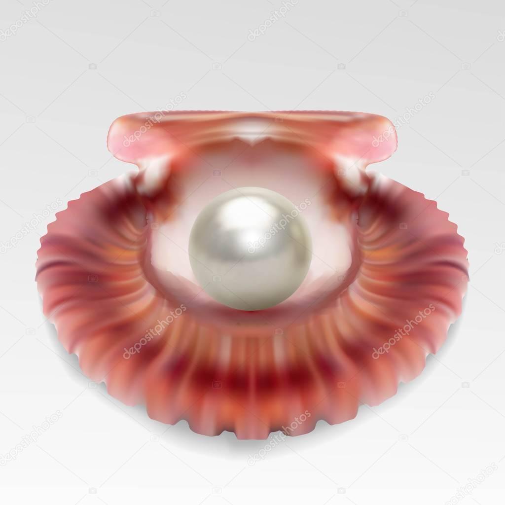 Pearl realistic in sea shell isolated on white background