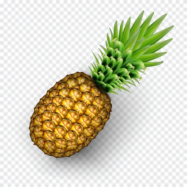 Pinaapple imagem realista com transparente sombra vetor ilustração isolado em xadrez fundo branco — Vetor de Stock