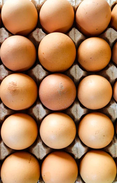 Çiğ tavuk yumurta karton.