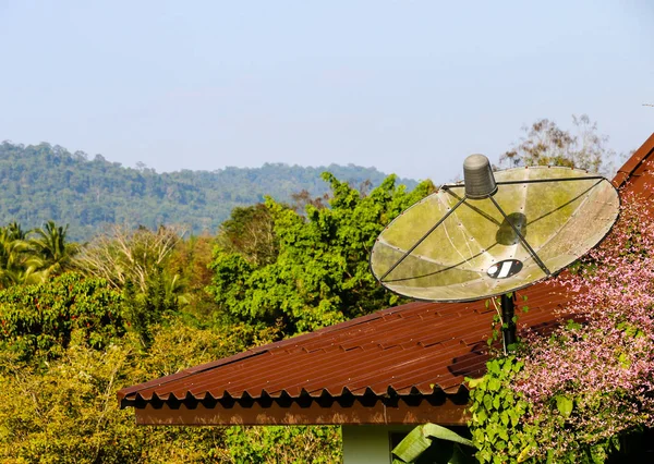 Çatıda bir uydu çanağı.
