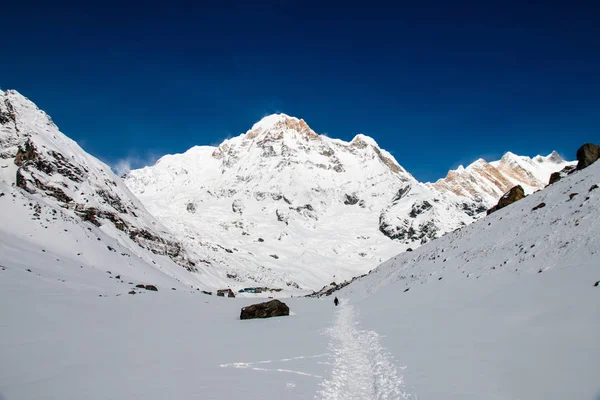 Annapurna Merkez kamp, Nepal doğa yürüyüşü