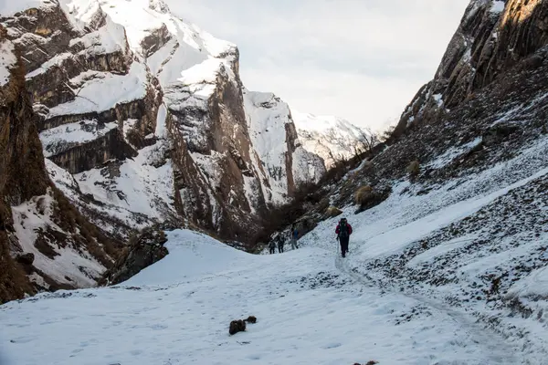 Annapurna Merkez kamp, Nepal doğa yürüyüşü