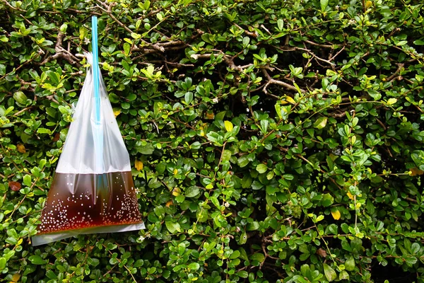 Şeffaf plastik torba siyah tatlı su.