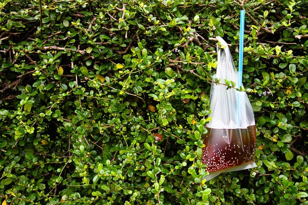 Şeffaf plastik torba siyah tatlı su.